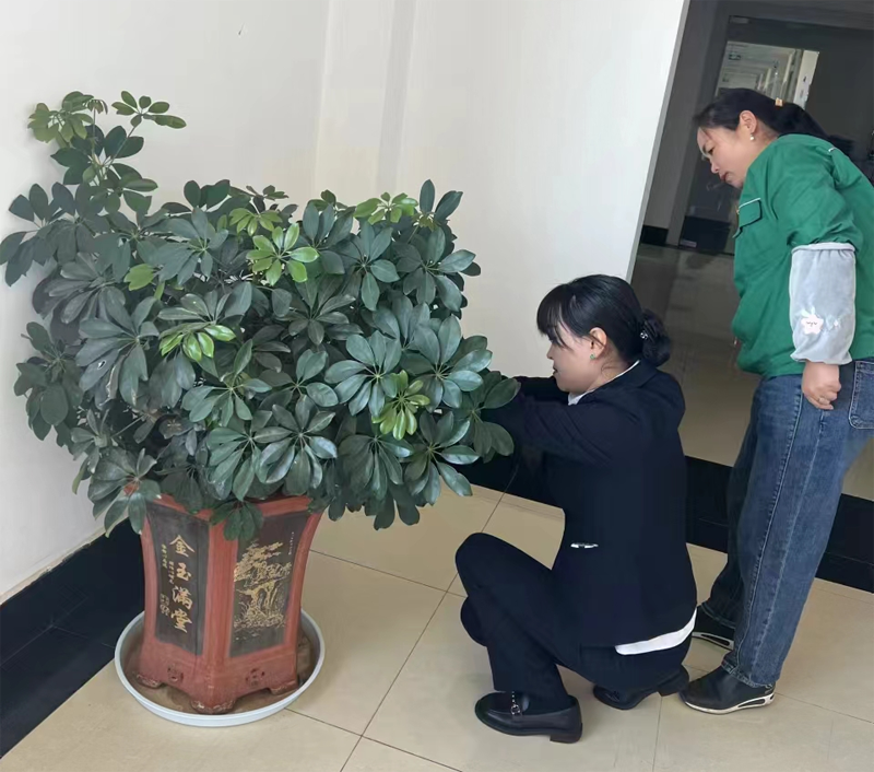 微信圖片_20240415094350副本